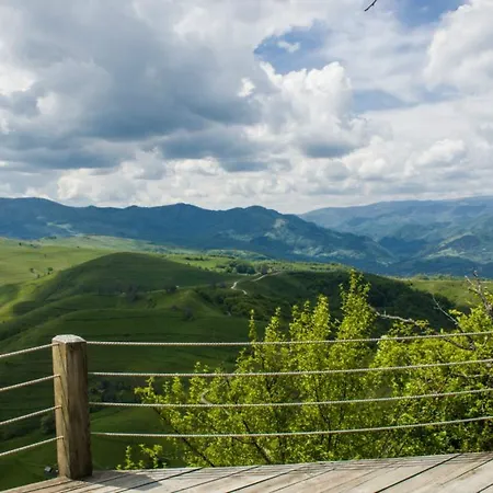 Raven's Nest Pensiune Sălciua de Jos