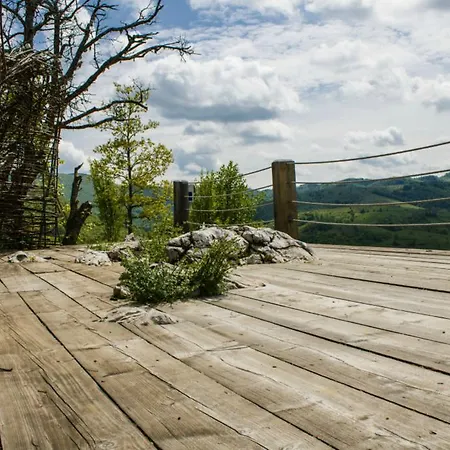 Raven's Nest Sălciua de Jos