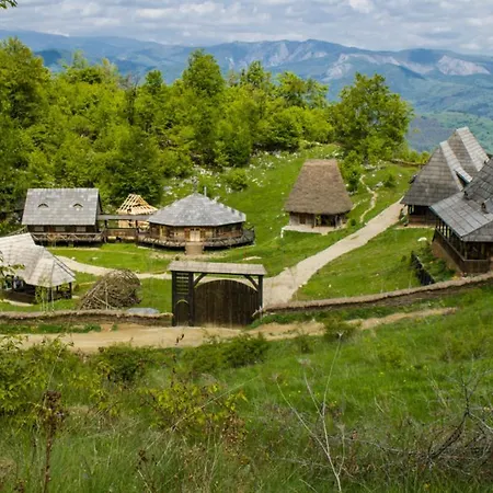 Raven's Nest Pensiune Sălciua de Jos